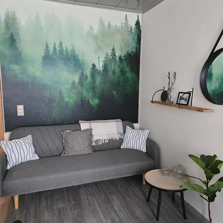 Tenneberger Wohnung1 Séjour chez l'habitant Ilsenburg